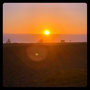 Meet your Posher, D’aunoy